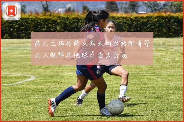 热火主场对阵灰熊米切尔约维奇等五人缺阵其他球员全力出战