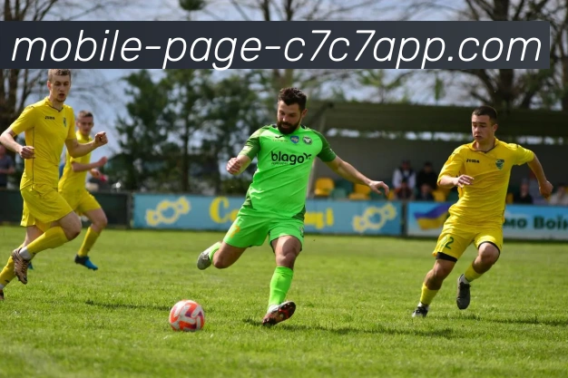 C7C7娱乐平台生态图